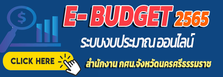 budget65