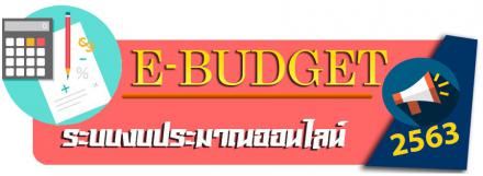 e-budget