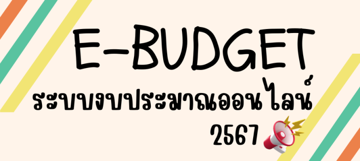 e-budget
